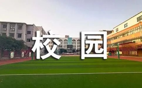 校园里的新鲜事450字作文