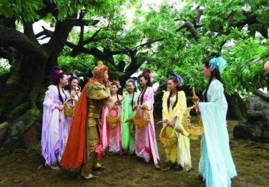 孙悟空定住七仙女后，对她们做了什么事呢？