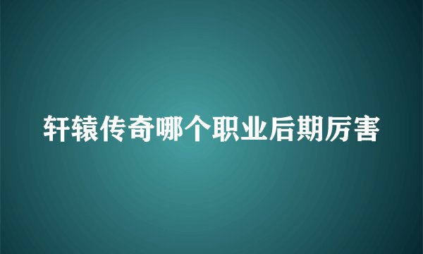轩辕传奇哪个职业后期厉害