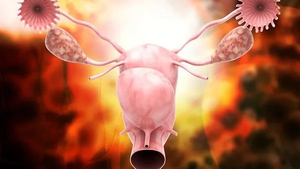 子宫肌瘤如何食疗