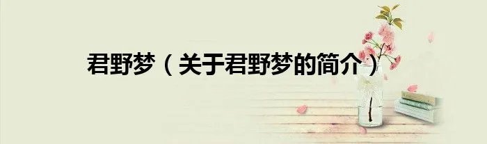 君野梦（关于君野梦的简介）