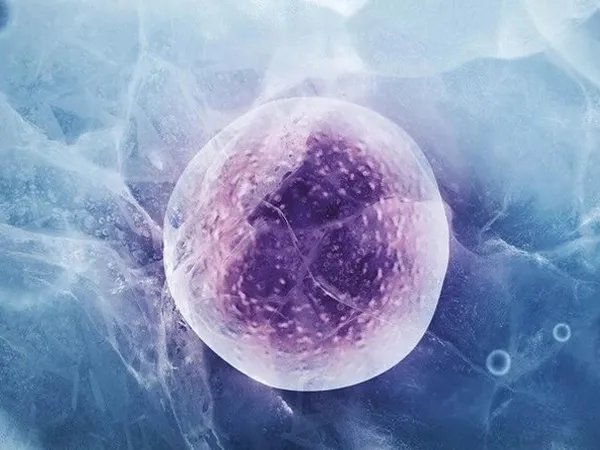 解读国外冷冻卵子费用：2022赴美冻卵人群必看收费标准