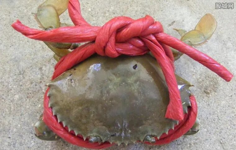 青蟹绑31米绳 消费欺诈何时休？