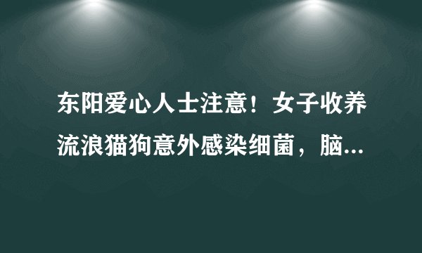 东阳爱心人士注意！女子收养流浪猫狗意外感染细菌，脑中居然抽出脓液！