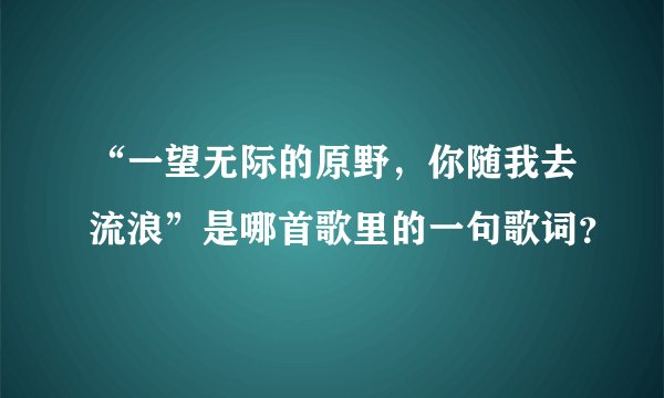 “一望无际的原野，你随我去流浪”是哪首歌里的一句歌词？