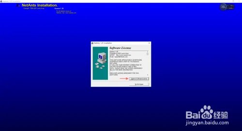 网络蚂蚁怎么用