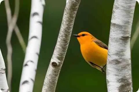 北京最大的调料市场在哪里啊？