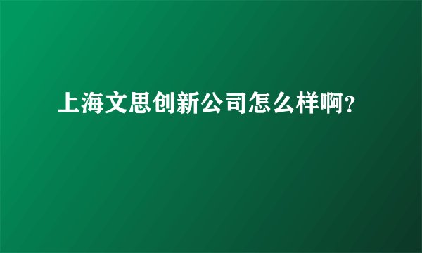 上海文思创新公司怎么样啊？