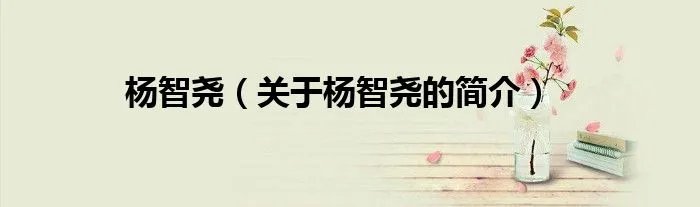 杨智尧（关于杨智尧的简介）