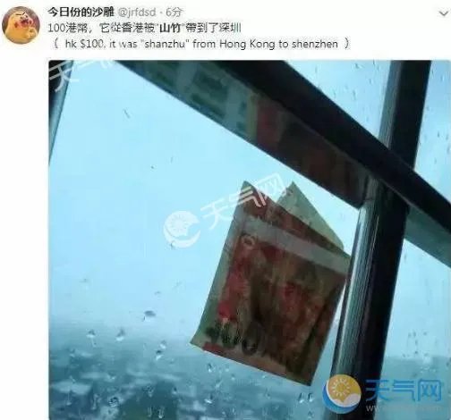 山竹经济损失最新汇总：累计3430亿其中广东42.49亿