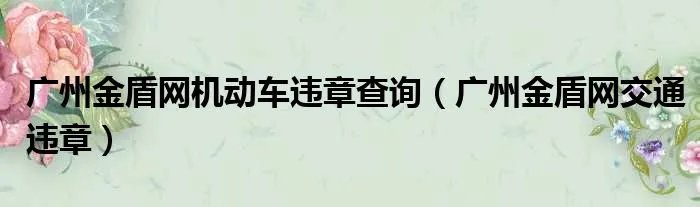 广州金盾网机动车违章查询（广州金盾网交通违章）