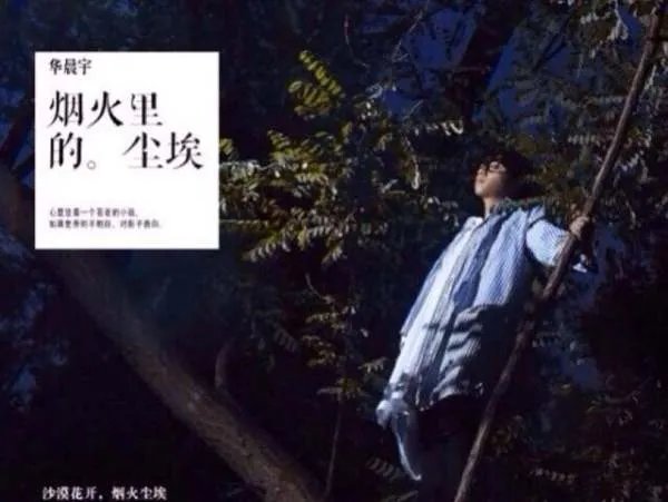 华晨宇《烟火里的尘埃歌词赏析,表达什么意思