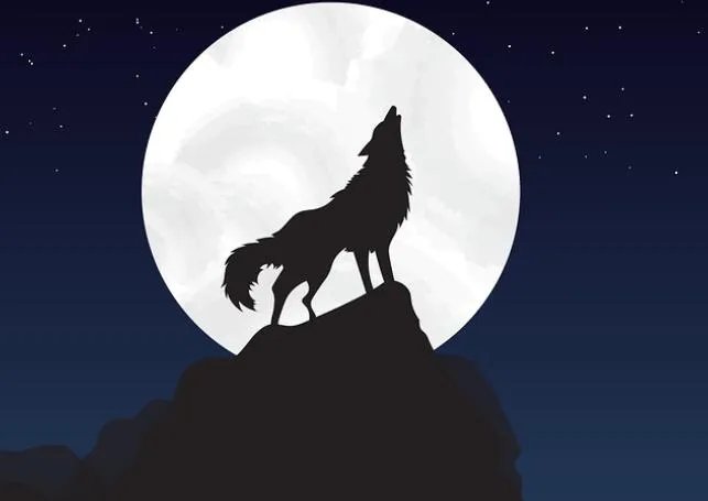 2020超级月亮出现时间 2020年超级月亮几月几号出现