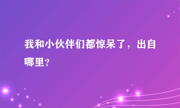 我和小伙伴们都惊呆了，出自哪里？