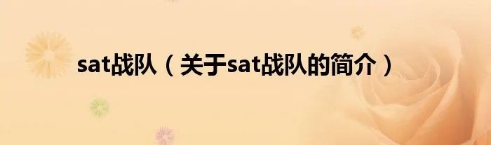 sat战队（关于sat战队的简介）