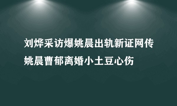刘烨采访爆姚晨出轨新证网传姚晨曹郁离婚小土豆心伤