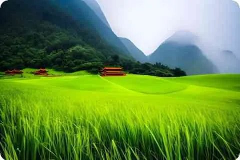 全球唱片销量排行榜求权威的