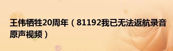 王伟牺牲20周年（81192我已无法返航录音原声视频）