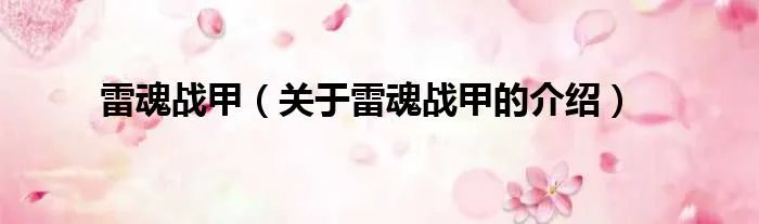 雷魂战甲（关于雷魂战甲的介绍）