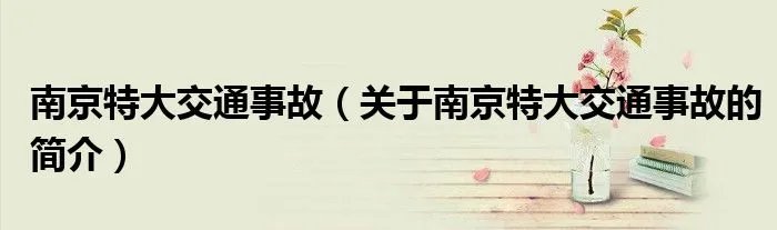 南京特大交通事故（关于南京特大交通事故的简介）