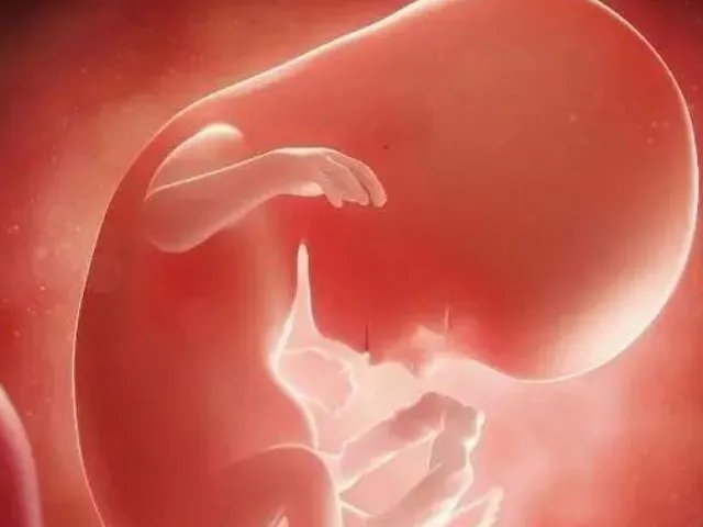 孕10周通过美国验胎灵测试是最准的吗？