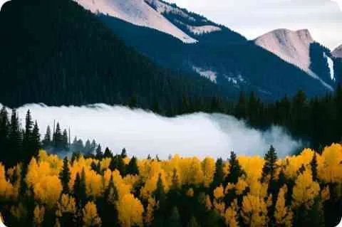 梦幻打牌的技巧及其功略