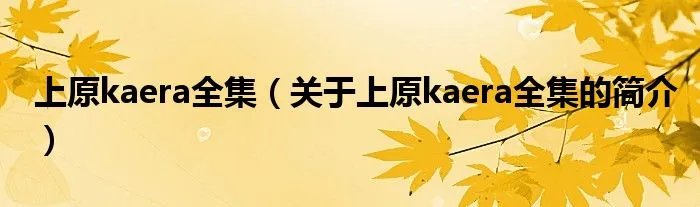 上原kaera全集（关于上原kaera全集的简介）