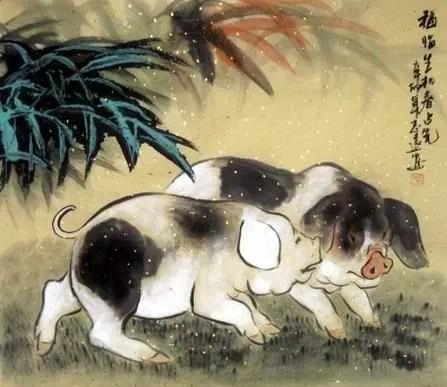 71年属猪48岁命运，1971年属猪是什么命 1971年出生人的命运