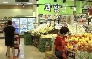 韩国大白菜飙涨至62元一颗,是什么原因引起白菜涨价的?