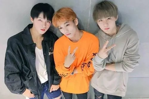 乐华黄智博是哪里人？