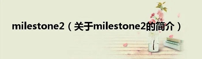 milestone2（关于milestone2的简介）