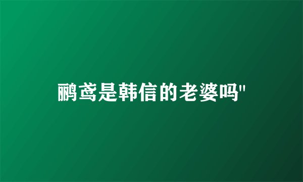 鹂鸢是韩信的老婆吗