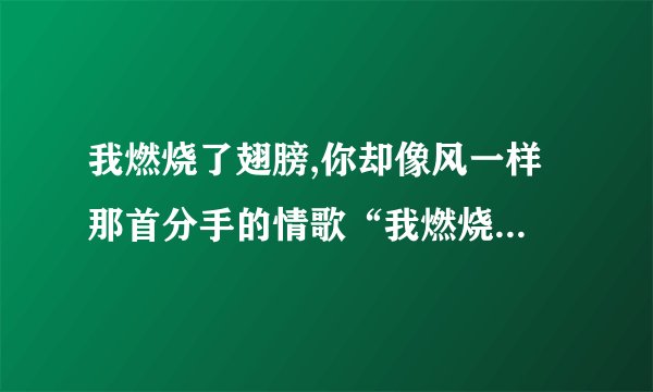 我燃烧了翅膀,你却像风一样 那首分手的情歌“我燃烧了翅膀,你却像风一样”是什么意思文采好的来多解释下肯定有多加的分