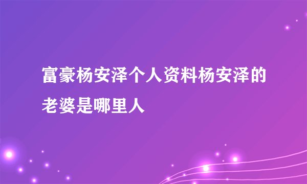 富豪杨安泽个人资料杨安泽的老婆是哪里人