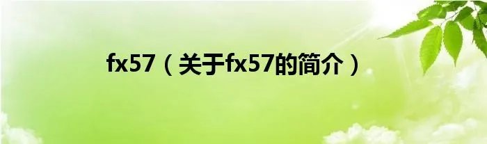 fx57（关于fx57的简介）