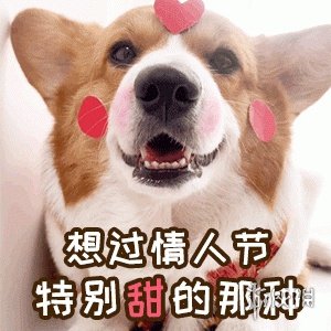 214情人节表情包搞笑图片 情人节搞笑表情包大全