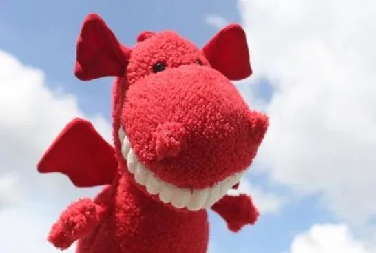 情人节除了送花还能送什么 一般情人节送什么好