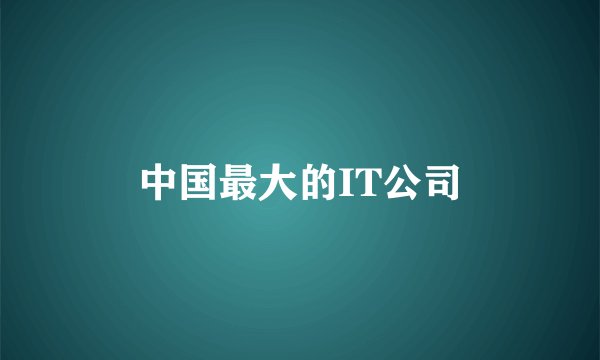 中国最大的IT公司