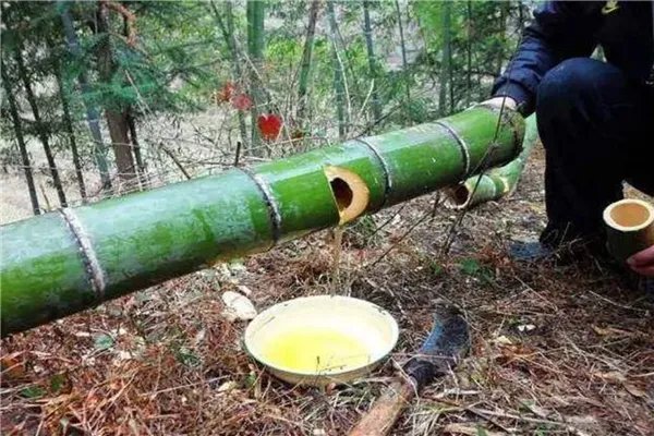 竹筒酒十大排行榜推荐 有哪些值得推荐的竹筒酒