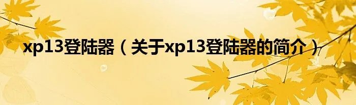 xp13登陆器（关于xp13登陆器的简介）
