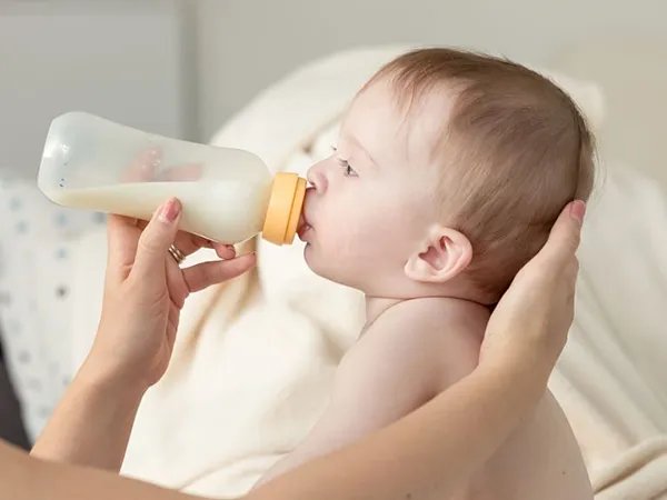 四段奶粉的十大排行榜里哪个牌子的奶粉好?