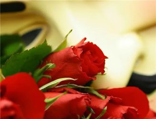 豪门继承人黎南杨小丽 豪门继承人小说完结版阅读