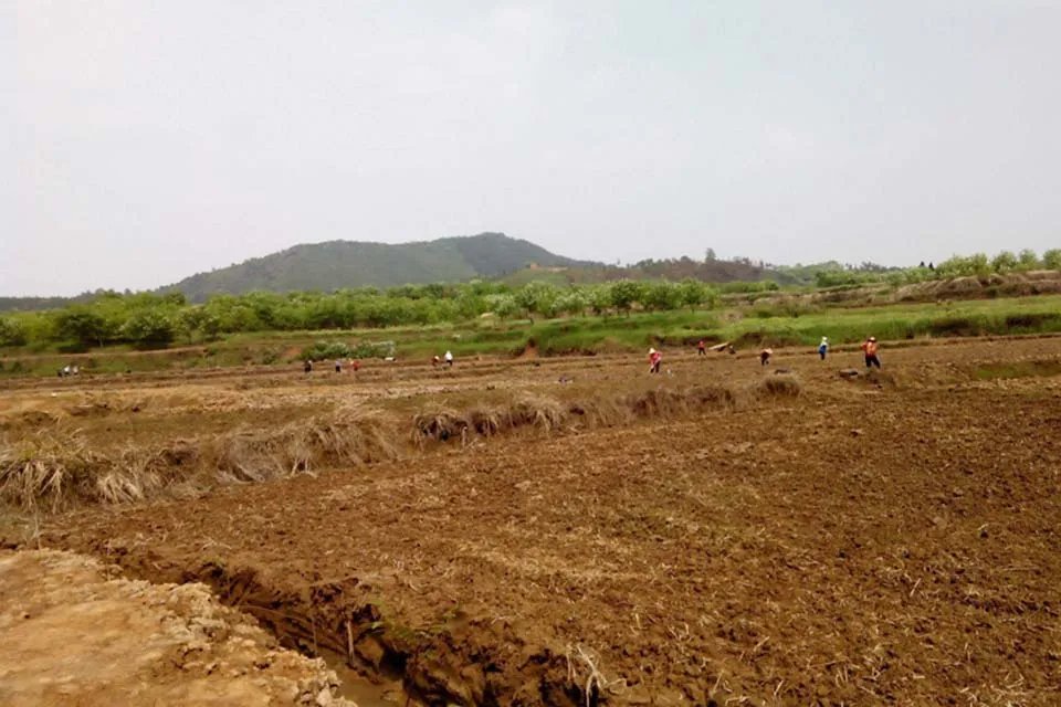 公顷换算平方公里是多少 亩和公顷是怎么换算的