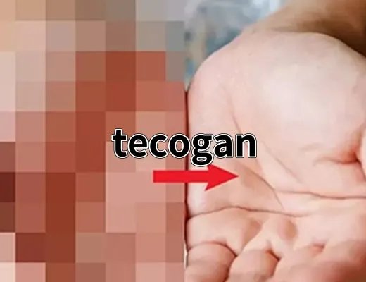 tecogan