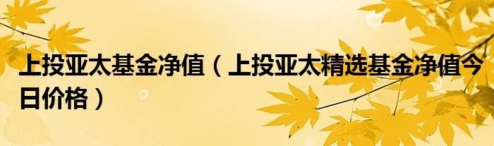 上投亚太基金净值（上投亚太精选基金净值今日价格）