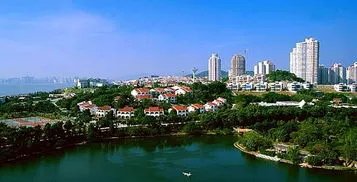 东北地区人口占比下降，这些人大多都移到了别的城市吗？