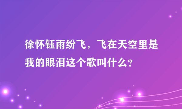 徐怀钰雨纷飞，飞在天空里是我的眼泪这个歌叫什么？