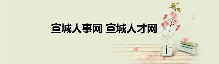 宣城人事网 宣城人才网