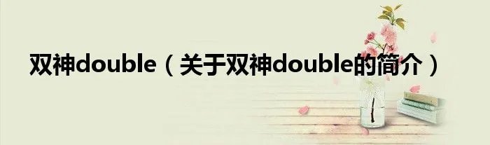 双神double（关于双神double的简介）