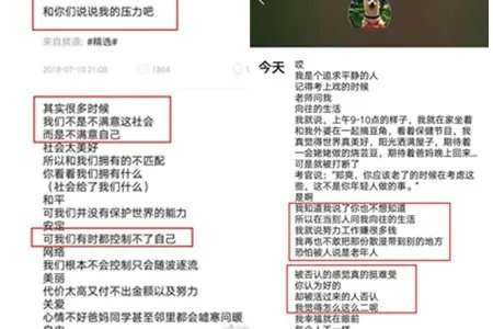 郑爽背环保袋现身 爽妹子深夜发文吐槽压力大